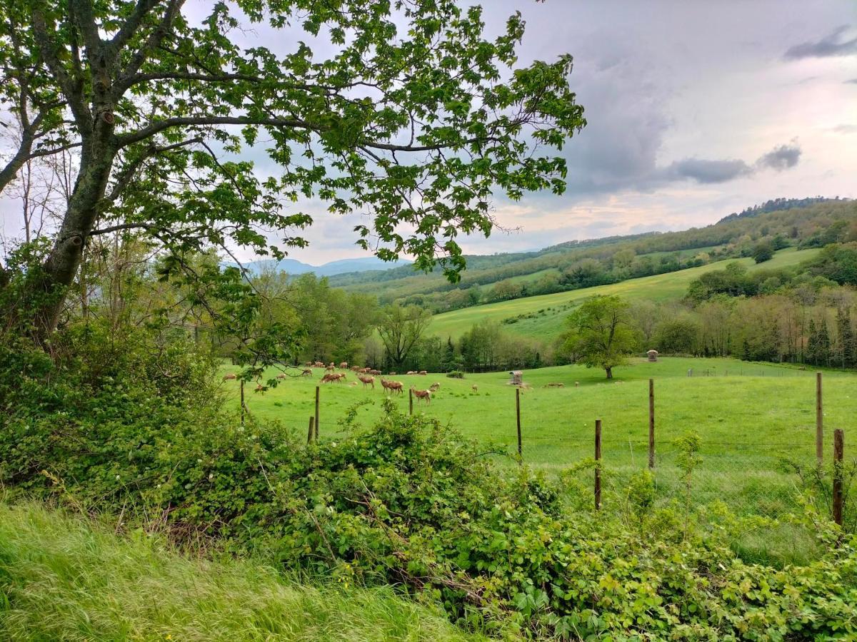 La Casetta Di Bruno Sul Passo Della Futa Traversa Exterior foto